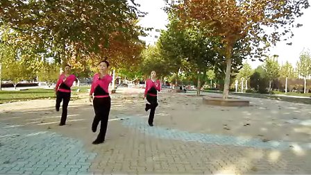 云裳广场舞教学 桃花运 恰恰