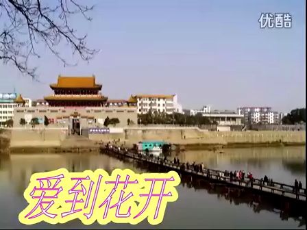 高安子君广场舞 爱到花开