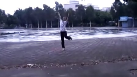 廖弟广场舞 十五的月亮