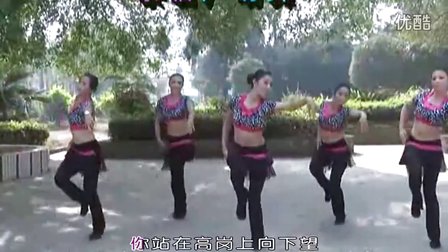 廖弟广场舞 站在高岗上