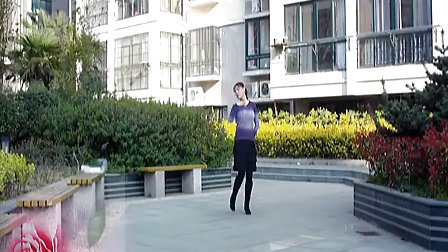 青儿广场舞 爱情这杯酒谁喝都得醉