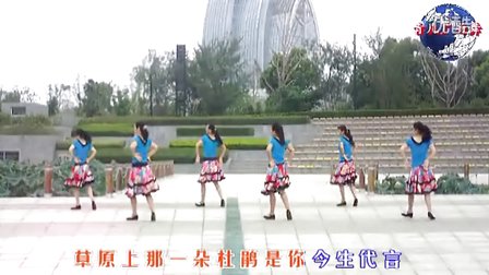 青儿广场舞 隔世情人 团队版