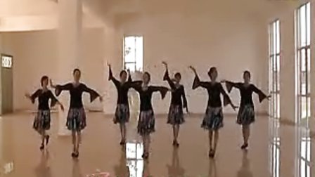 高安子君广场舞 一只大雁 教学版