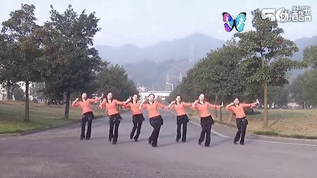 紫蝶广场舞 最美最美