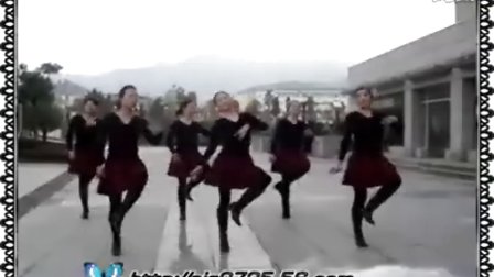 紫蝶广场舞 迎酒欢歌