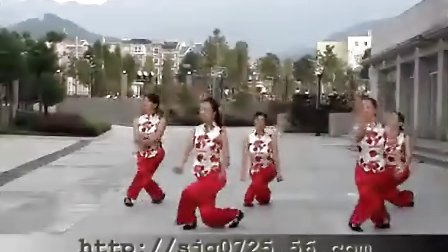 紫蝶广场舞 金包银