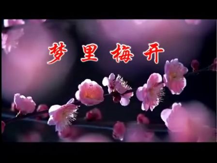 海之韵广场舞 梦里梅开