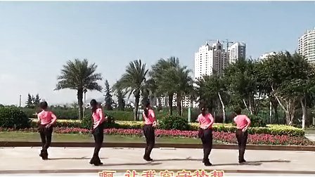 海之韵广场舞 孔雀公主
