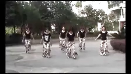 周思萍广场舞 芦花美