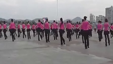 俏木兰广场舞 舞蹈地带 背面分解