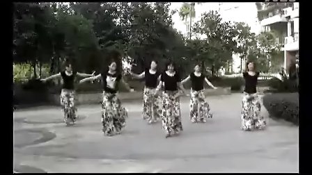周思萍广场舞 芦花