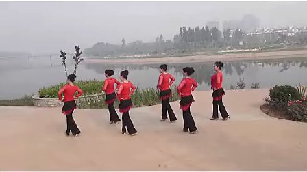 美久广场舞 夜上海满场飞
