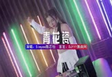 Avi-mp4-青花瓷-Simyee陈芯怡-DJHouse-车载美女DJ打碟视频