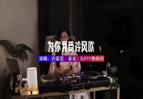 Avi-mp4-为你我受冷风吹-许茹芸-DJ车载-车载美女DJ打碟视频