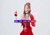 Avi-mp4-飘雪-女声-DJHouse-车载美女跳舞视频