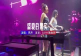 Avi-mp4-盛夏的果实-男声-DJ车载-车载夜店DJ视频