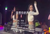 Avi-mp4-是想你的声音啊-网络-DJHouse-车载夜店DJ视频