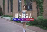 Avi-mp4-容易受伤的女人-王菲-DJHouse-车载美女写真视频