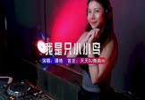 Avi-mp4-我是一只小小鸟-谭艳-DJwave-车载美女DJ打碟视频
