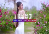 Avi-mp4-嫁给我吧-何鹏-于玄子-DJ版-车载美女写真视频
