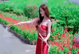 Avi-mp4-别哭了宝贝-男声-DJHouse-车载美女写真视频
