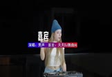 Avi-mp4-嘉宾-男声-DJ车载-车载美女DJ打碟视频