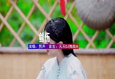 Avi-mp4-剑伤-男声-DJ车载-车载美女写真视频