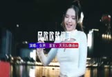 Avi-mp4-风吹吹就停了-女声-DJ车载-车载美女DJ打碟视频